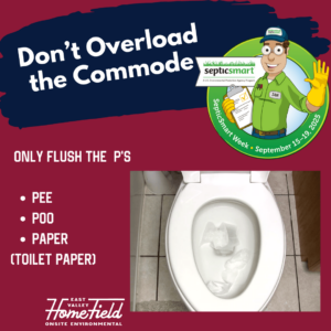Don't Overload the Commode, Only Flush the 3 P's