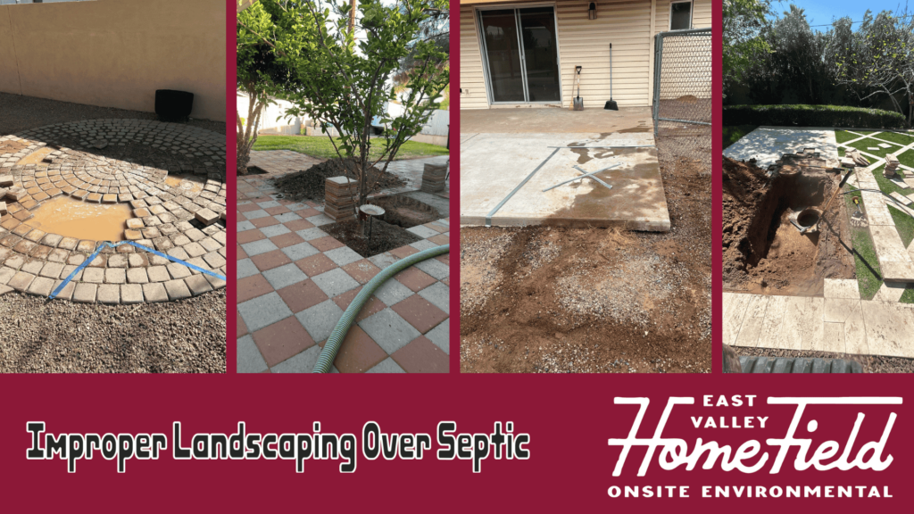 Landscaping Wisdom on Septic