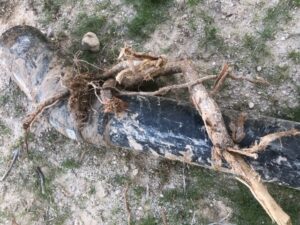 ADEQ Inspection Prevents Home Sales from Sinking