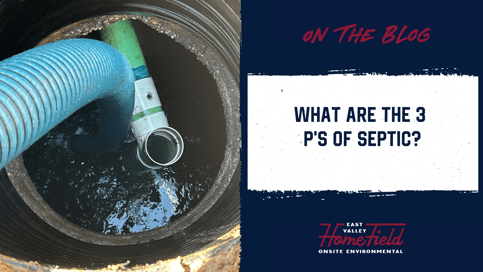 Only Flush the 3 P's