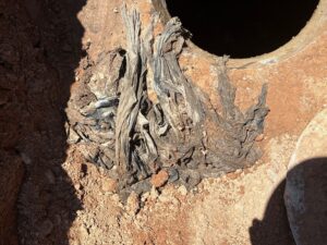 Mound of "Flushable" Wipes