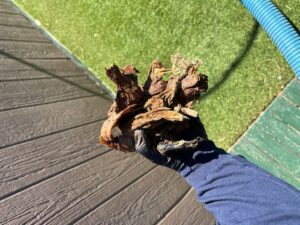 Flushable Wipes Are Ruining Your Septic System