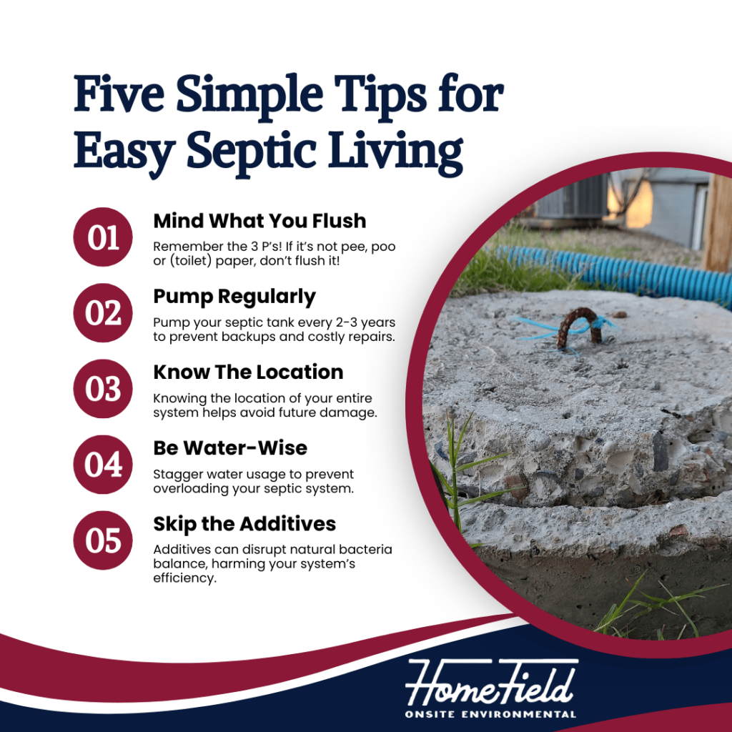 World Toilet Day Septic Tips