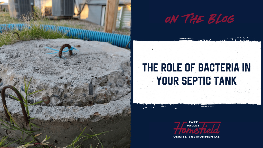 Bacteria in Your Septic Tank is a Good Thing
