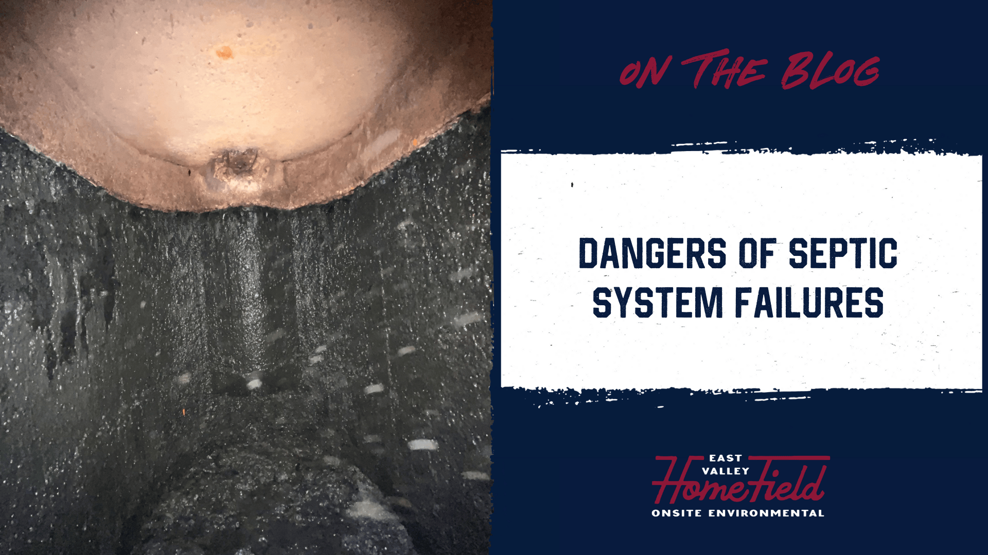 Learn the Dangers of Septic System Failure
