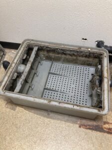 Heavy Commercial Usage and Holidays