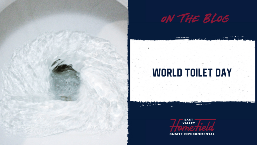 Discover the Importance of World Toilet Day