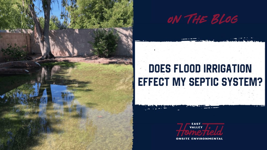 Flood Irrigation Living on Septic